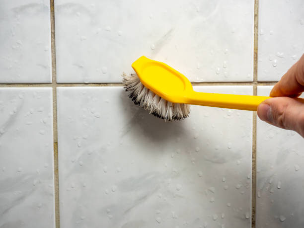 Best Black Mold Remediation in Brewerton, NY